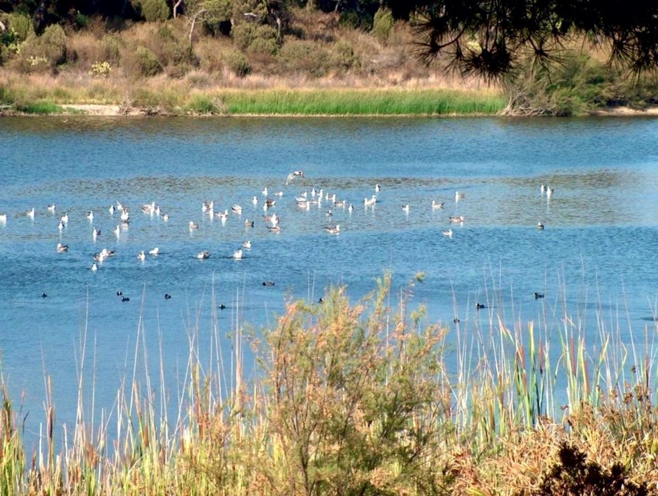 Paqo Lodge Laguna Del Portil, A 400 Metros De La Playa Exteriér fotografie